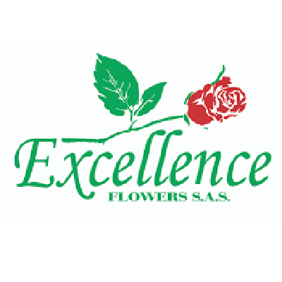 excellence_flower